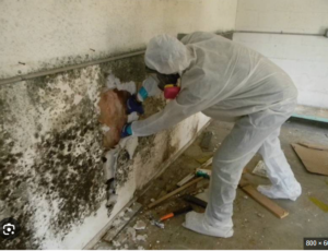 Hình ảnh Tường Bị Thấm , ẩm Mốc